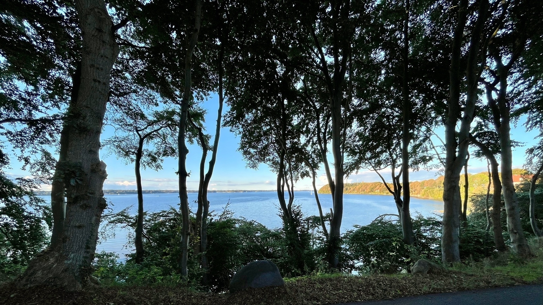 Blick durch Bäume über die sonnige Förde von Meierwik Richtung Nordosten